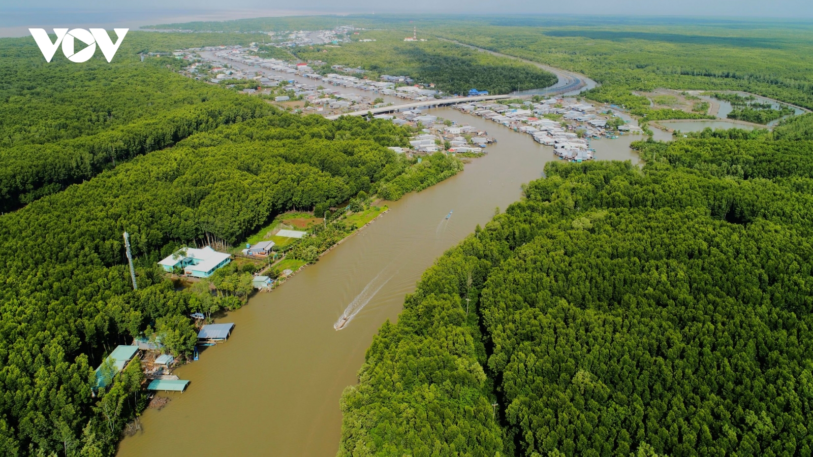 Cà Mau phát triển kinh tế rừng bền vững để bảo vệ rừng